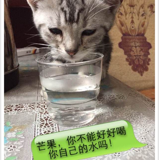 会计需要高中毕业证